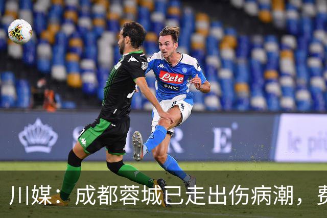川媒：成都蓉城已走出伤病潮，费利佩完全康复、罗慕洛恢复顺利